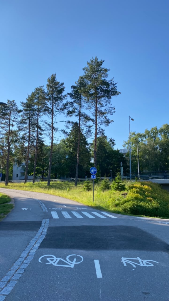 Aalto bike path