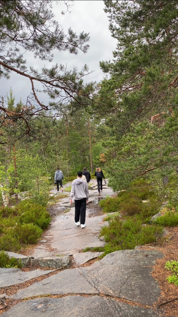 Forest hike in Nuuksio